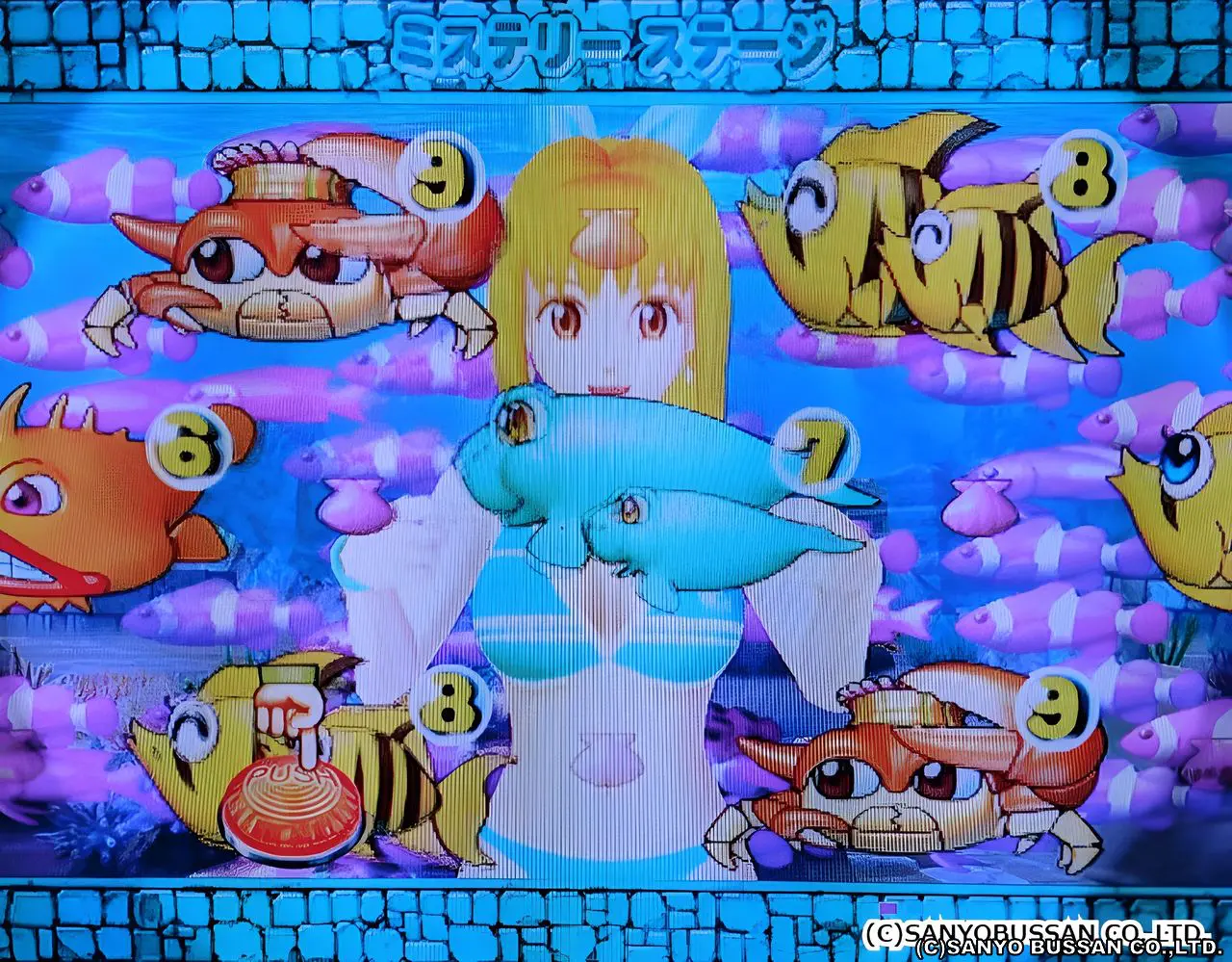 『クマノミ魚群』