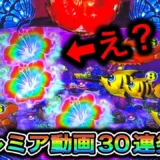 【動画】『Pスーパー海物語 IN 沖縄5』プレミアムコレクション！見逃せない瞬間たち