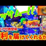 【動画】新台『P大海物語5スペシャル』静かに熱い！朝イチからの挑戦記録