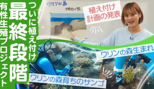 【動画】第146回『南の島のミスワリン』サンゴ植付けで未来の海を守る挑戦！