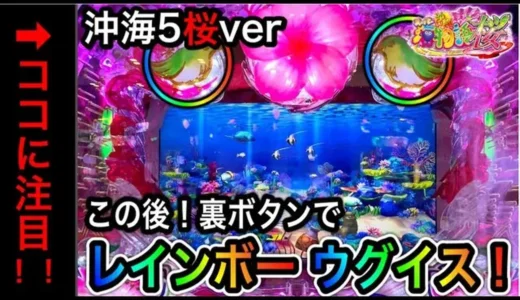 【動画】Pスーパー海物語IN沖縄5桜ver199の裏技徹底解説！実践動画付き