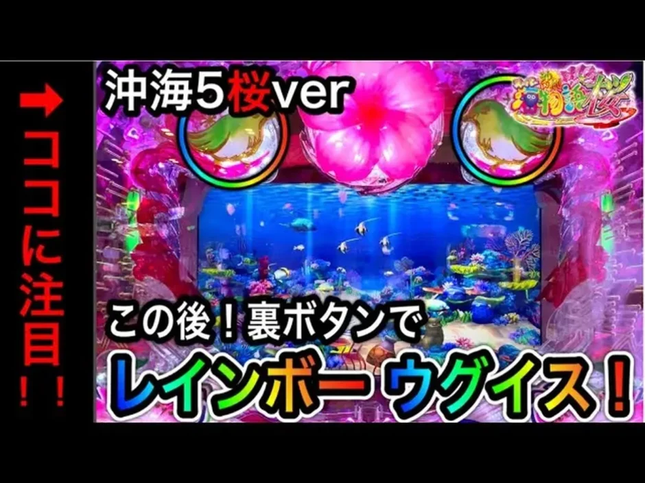 【動画】Pスーパー海物語IN沖縄5桜ver199の裏技徹底解説！実践動画付き