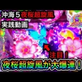 【動画】大連チャンに挑戦「Pスーパー海物語 夜桜超旋風」の実践記録