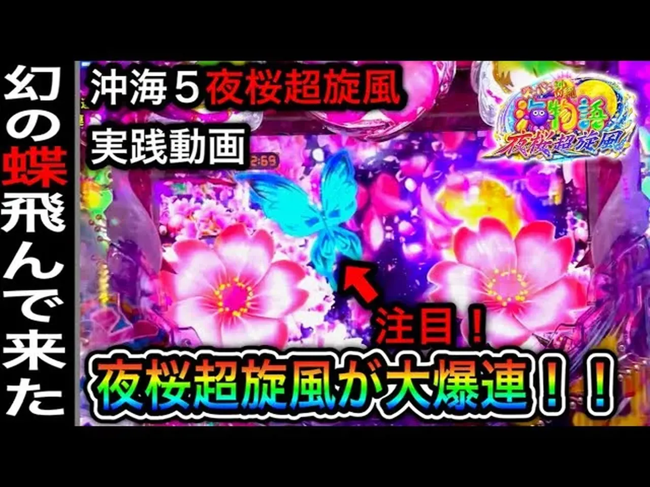 【動画】沖海5夜桜超旋風 自己記録更新!? 史上最高の大連チャン実践!