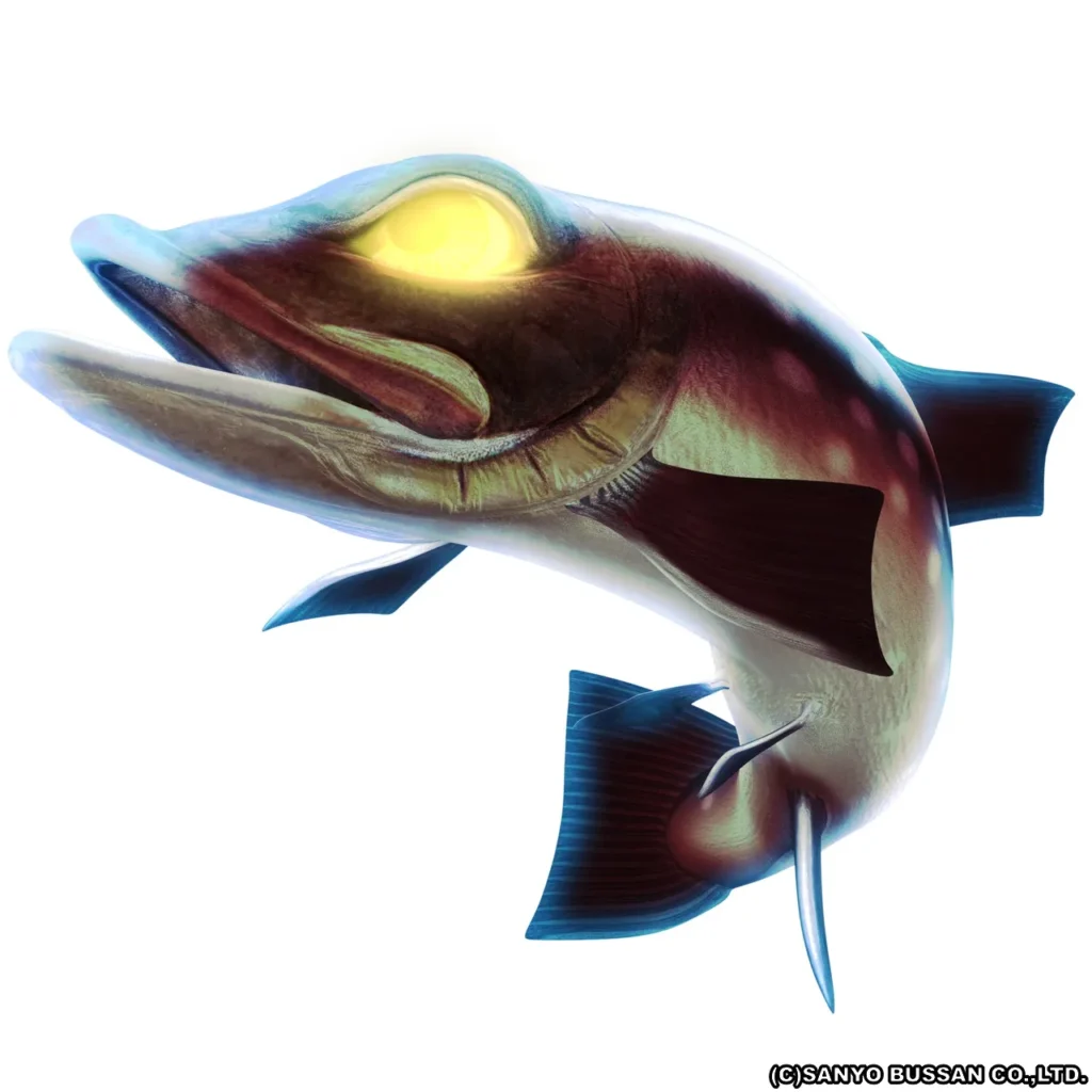 タキタロウ