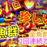 【動画】P大海物語5スペシャル、金魚群が2回連続で出現⁉ 驚きの瞬間を見逃すな