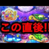 【動画】P大海物語5スペシャル、778日目のガチ実践!連荘なるか?勝利への軌跡を徹底解説!