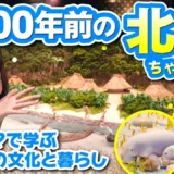 【動画】沖縄の海を守るミスワリン169回紹介