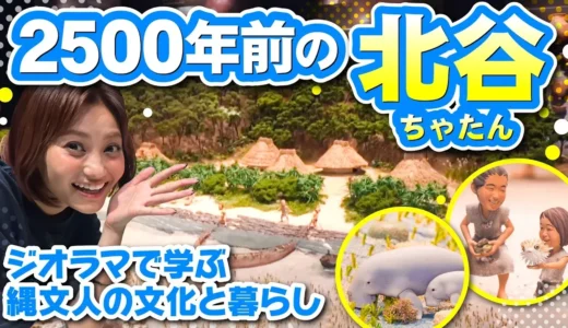 【動画】沖縄の海を守るミスワリン169回紹介