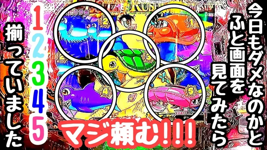 動画