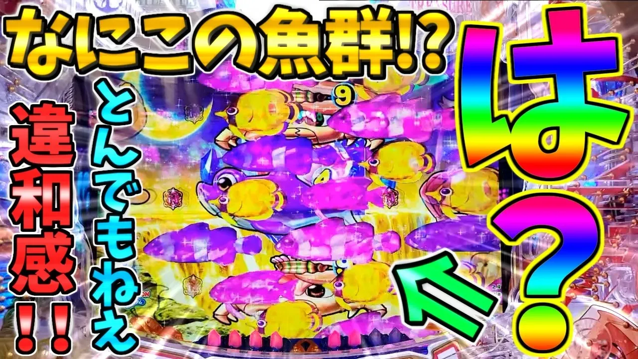動画